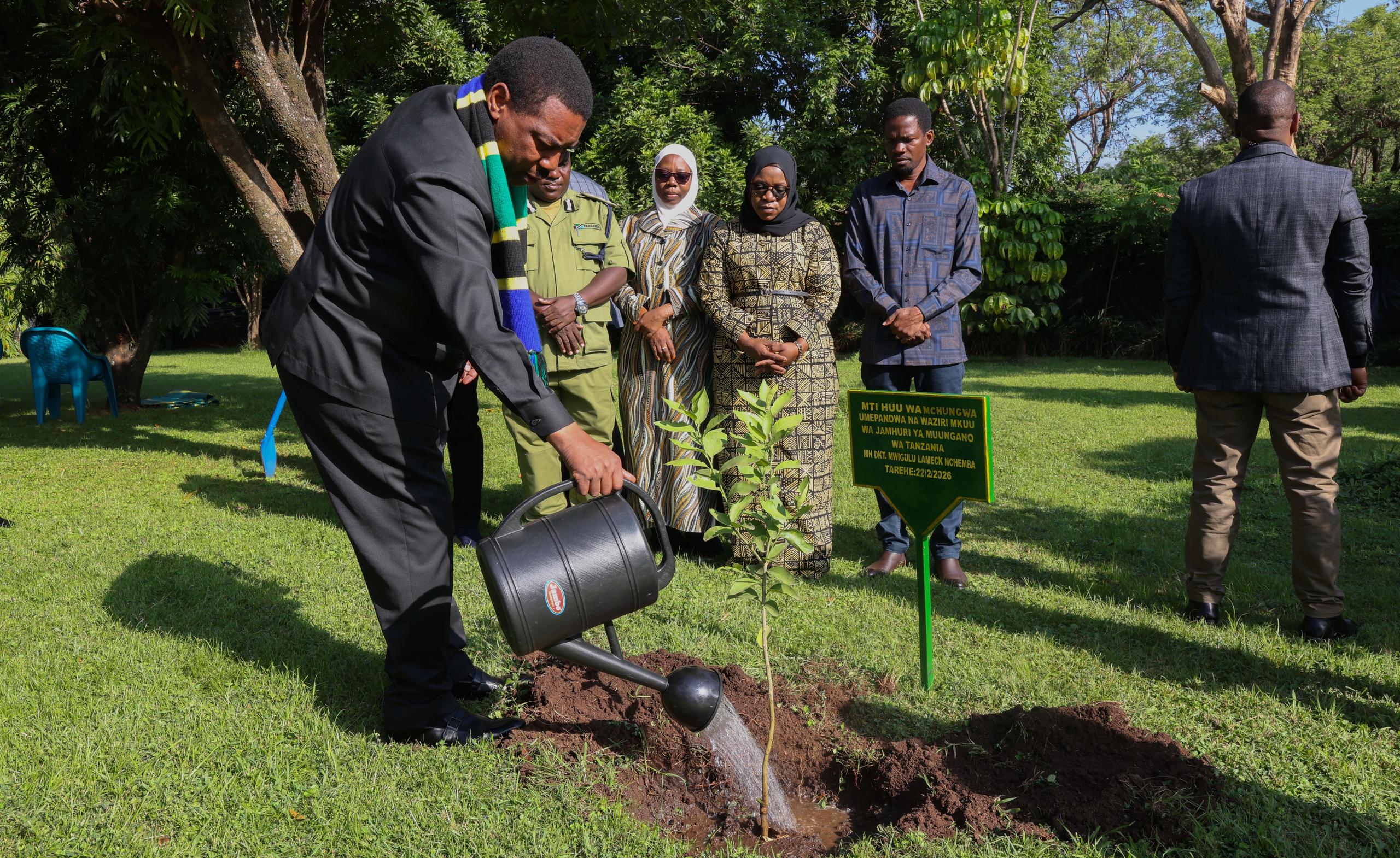 MHE WAZIRI MKUU WA JAMHURI YA MUUNGANO WA TANZANIA APANDA MTI