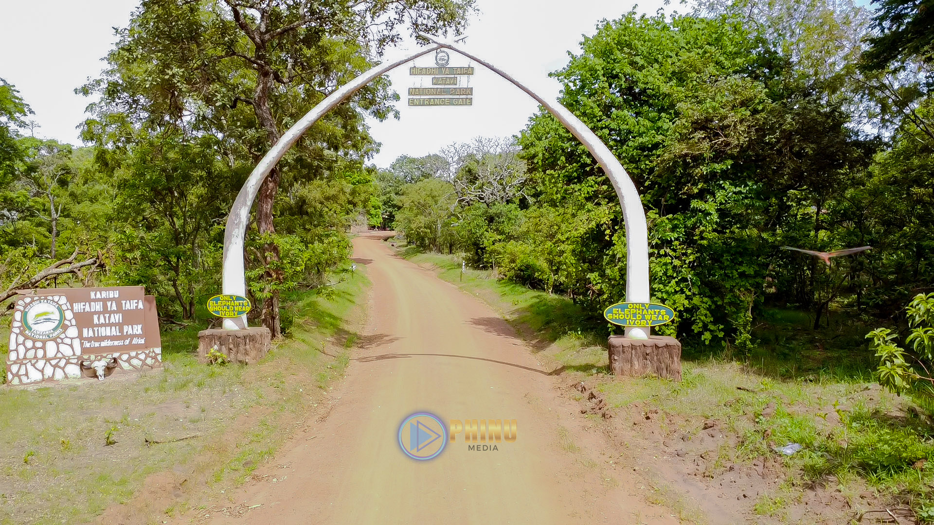 HIFADHI YA KATAVI NDIO PORI HALISI LA AFRICA