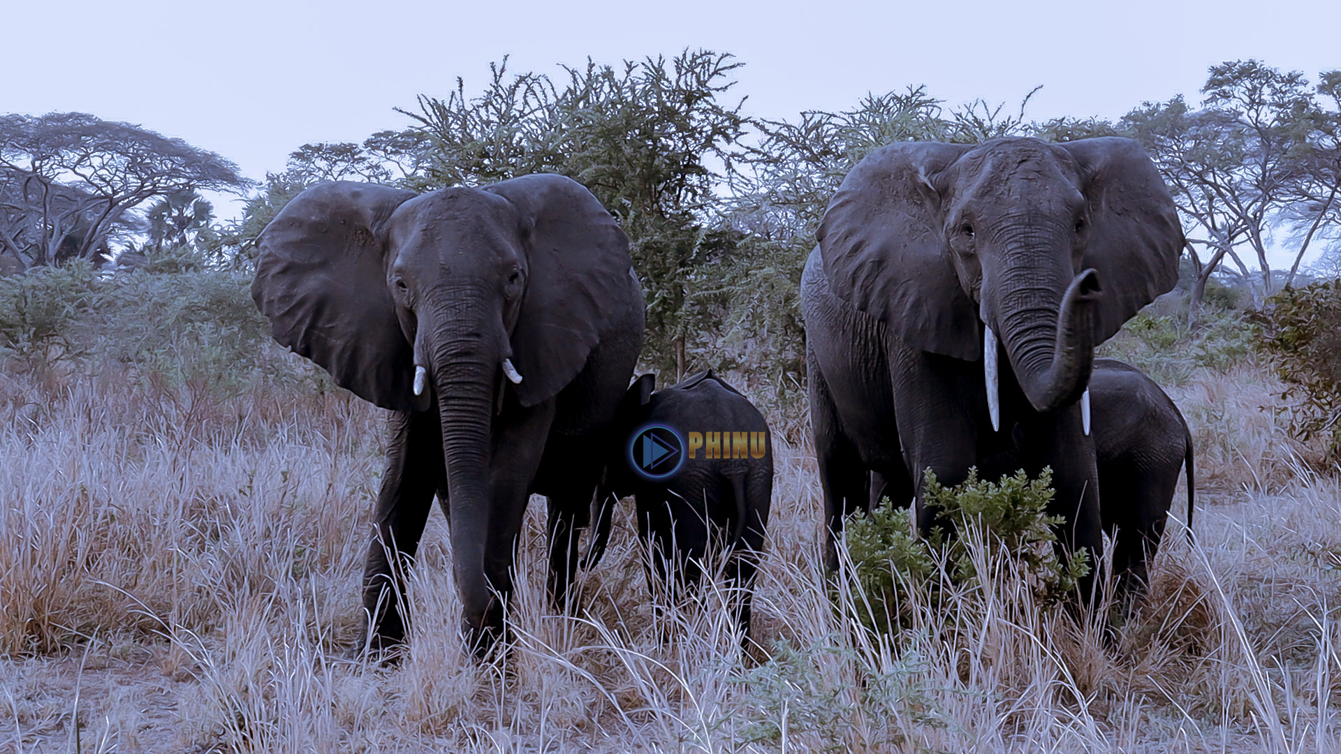 WATAZAME TEMBO WAKUBWA WA HIFADHI YA TAIFA KATAVI