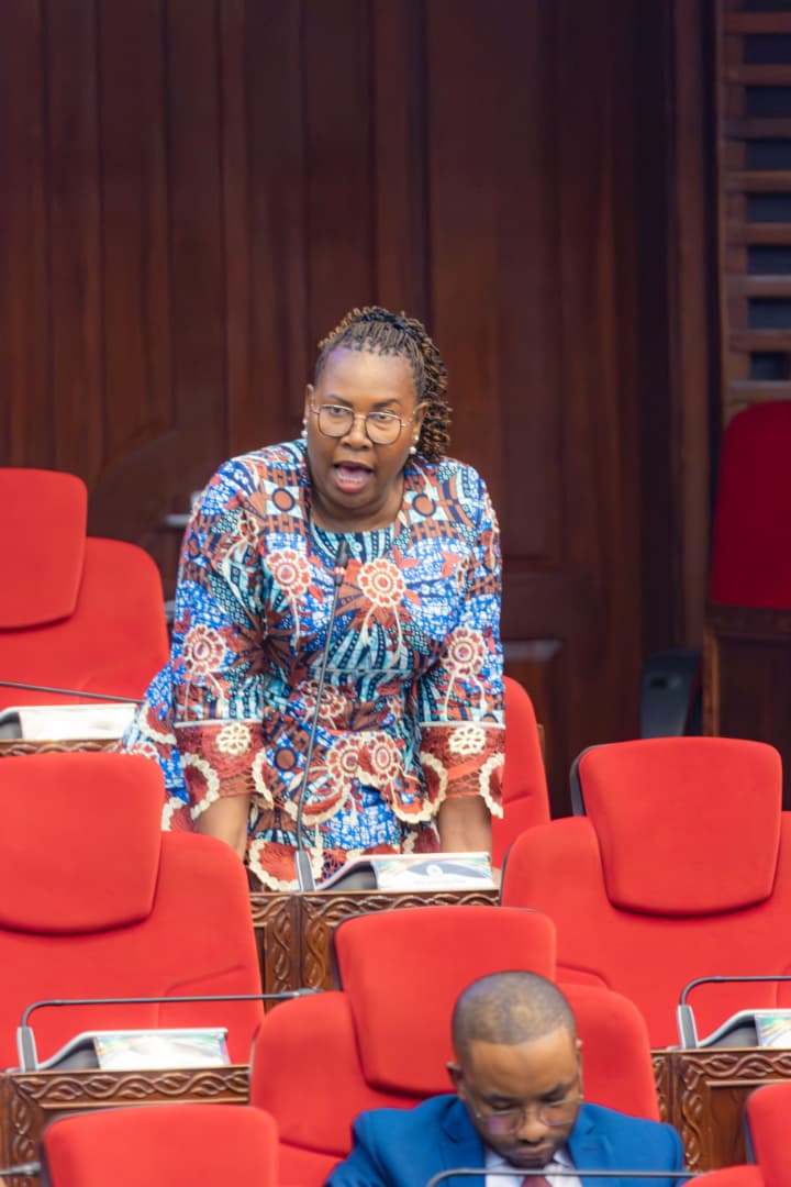 MHE.JANETH PINDA AIOMBA SERIKALI KUHARAKISHA UJENZI WA KITUO CHA AFYA CHAMALAND- KATAVI